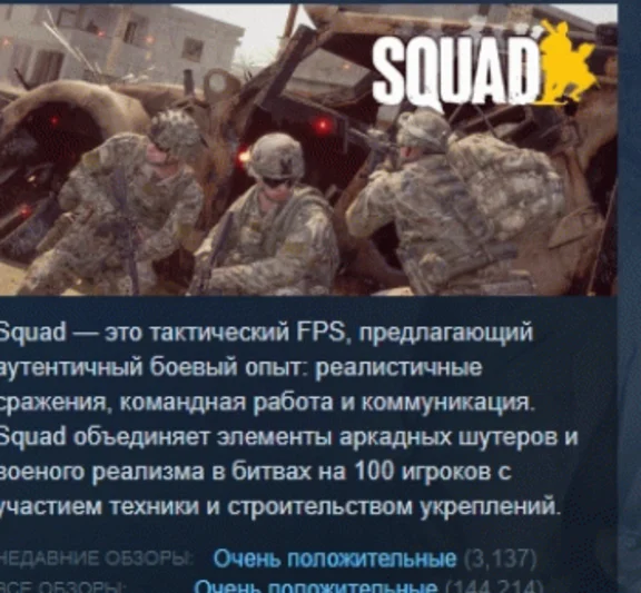 Squad 💎 АВТОДОСТАВКА STEAM РОССИЯ
