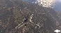 ⭐️Arma 3 / Steam Key / RU+Global