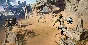 ✅Atlas Fallen: Reign of Sand STEAM Global/RU/CIS 🔑0%💳