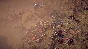 ⭐️Endzone A World Apart Complete Ed / Steam Key / RU