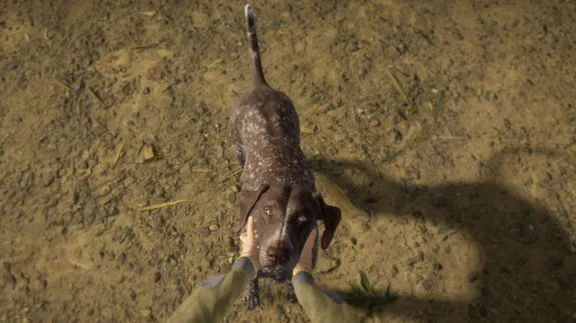 ⚡️theHunter: Call of the Wild- German Shorthaired Point