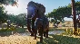 ⭐️Planet Zoo: Ultimate Edition 2021 / Steam Key /РФ+МИР