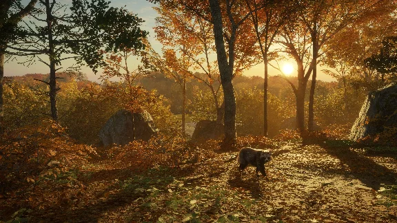 ❗THEHUNTER: CALL OF THE WILD - SALZWIESEN PARK❗XBOX КОД