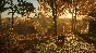 ❗THEHUNTER: CALL OF THE WILD - SALZWIESEN PARK❗XBOX КОД