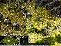 ⭐️Sudden Strike 2 Gold / Steam Key / RU+Global