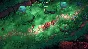 🚀 Wild Woods 🤖 Steam Gift RU + other ⚡ Autodelivery