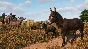 ⭐️DLC Planet Zoo - Barnyard Animal Pack / Steam Key /RU