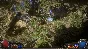 🔥Path of Exile 2 - Early Access Support🔥РФ\МИР🔥STEAM