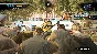 ⭐️Dead Rising / Steam Key / RU+Global