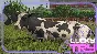 🐄 FARMING SIMULATOR 25 🌾RU+CIS STEAM KEY