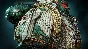 Warhammer 40000 Space Marine 2 Dark Angels Chapter Pack