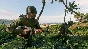 Enlisted - Thompson 7.63 Squad DLC * STEAM RU ⚡