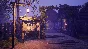 ⚡Medieval Dynasty / STEAM GLOBAL KEY⚡