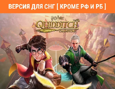 Harry Potter: Quidditch Champions / STEAM (no RU, BY )