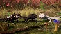 ☑️⭐Away : The Survival Series XBOX⭐Куплю Вам⭐☑️