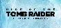 Rise of the Tomb Raider 20 Year Celebration🔑STEAM KEY
