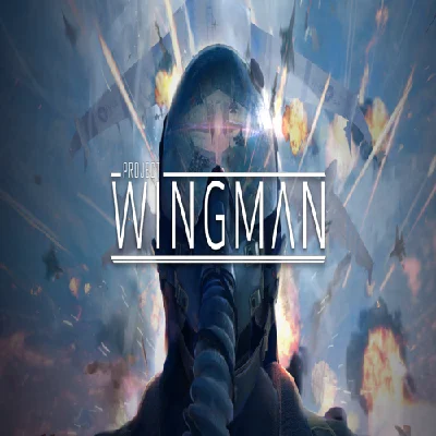 🧸 Project Wingman ✅ GOG 🧸 (PC)