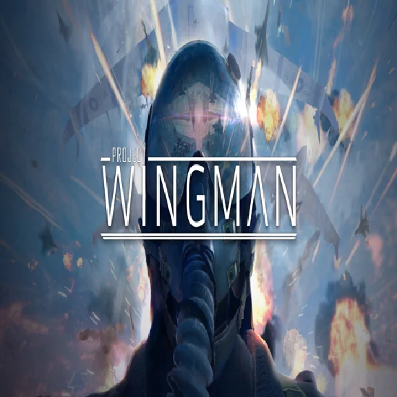 🧸 Project Wingman ✅ GOG 🧸 (PC)