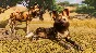 ⭐️Planet Zoo Ultimate Edition / Steam Key / RU+Global