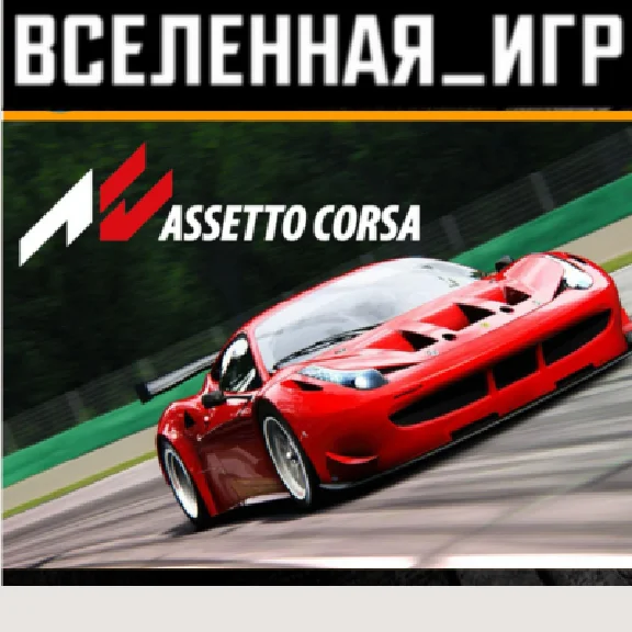 Assetto Corsa (РФ/СНГ) STEAM КЛЮЧ 🔑