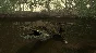 Cabela´s: Dangerous Hunts STEAM Gift  - RU/CIS
