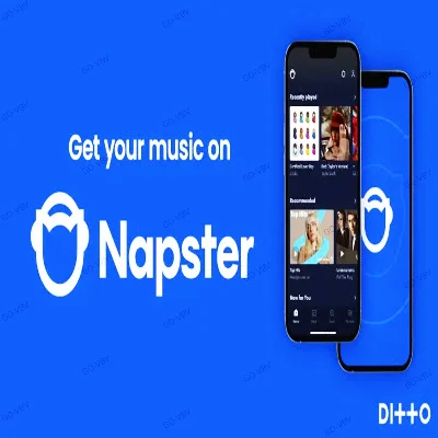 🔥Napster Premium 🔥Account🔥1 Months🔥warranty🔥