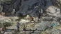 Disco Elysium - The Final Cut / Ключ Steam