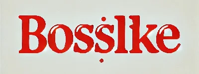 BossLike Coupon | 10,000 points | 9,5 rubles per 1000