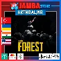 🌟The Forest | PS4/PS5 | Выбор региона🌟
