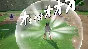 NTBSS: Master Character Training Pack - Might Guy DLC