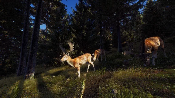 Way of the Hunter * STEAM RUSSIA🔥