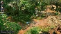 ✅Jagged Alliance 3 ⚡Steam\РФ+Весь Мир\Key⭐ 0%💳+ 🎁