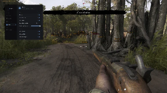 Arcane private cheat for Hunt Showdown