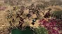 Warhammer 40000 Gladius Tyranids (steam key) DLC