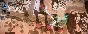 ⭐️Anomaly: Warzone Earth / Steam Key / RU+Global