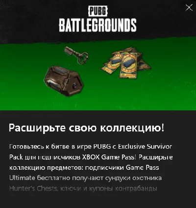 PUBG Exclusive Survivor Set No. 2 xbox
