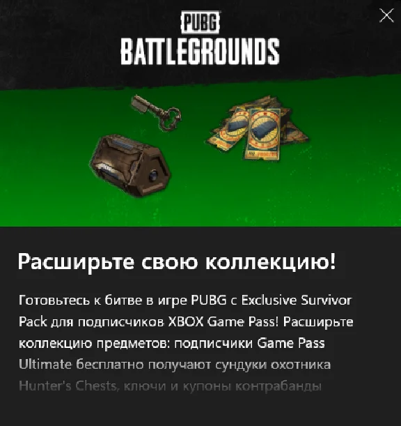 PUBG Exclusive Survivor Set No. 2 xbox