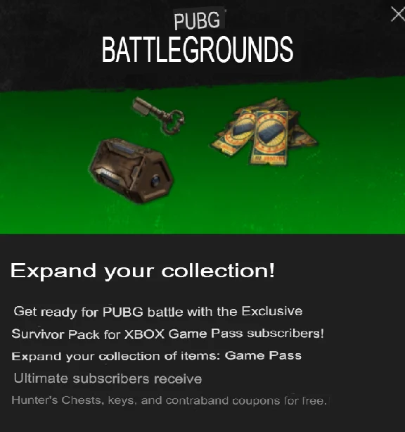 PUBG Exclusive Survivor Set No. 2 xbox