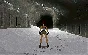 ⭐️Tomb Raider: DLC Collection / Steam Key / RU+Global