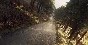 DiRT Rally 2.0 - Colin McRae: FLAT OUT Pack DLC