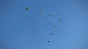IL-2 Sturmovik: Havoc Over the Kuban Campaign DLC