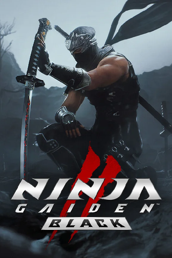 🎁NINJA GAIDEN 2 Black🌍ROW✅AUTO