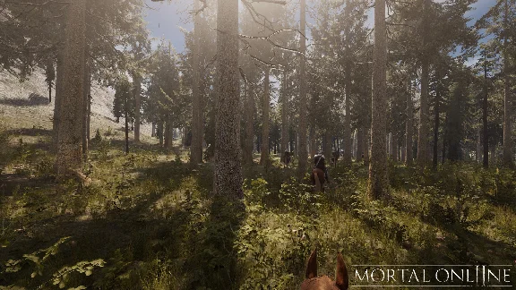 ✅ Mortal Online 2 Steam АККАУНТ НОВЫЙ+ПОЧТА