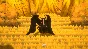 ✅ Yaoling: Mythical Journey Steam АККАУНТ +ПОЧТА🟢