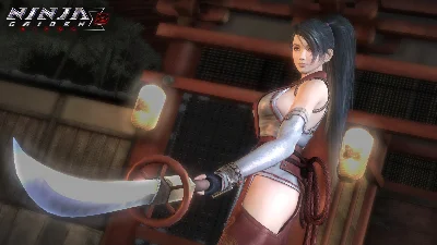 ✅ NINJA GAIDEN: Master Collection Deluxe Edition Steam