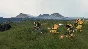 ✅ Death Stranding Director´s Cut Steam АККАУНТ +ПОЧТА