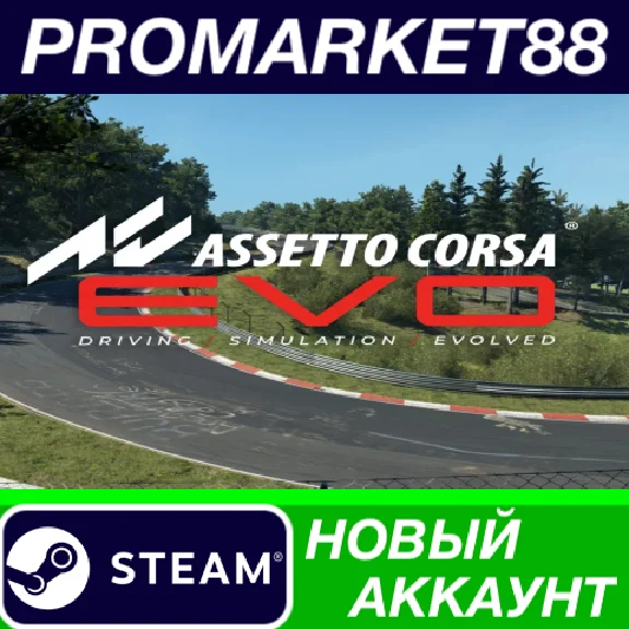 ✅ Assetto Corsa EVO PC Steam Account NEW +MAIL🟢