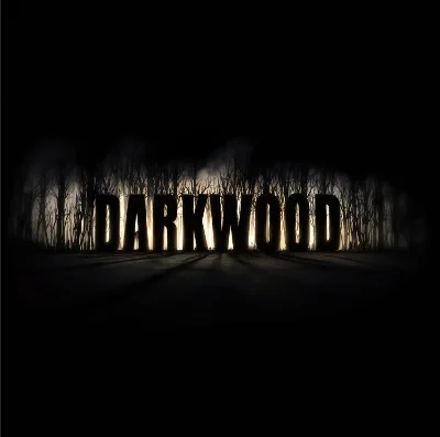 ⭐️Darkwood / Steam Key / RU+Global