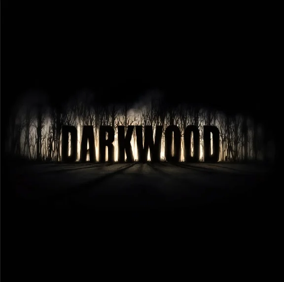 ⭐️Darkwood / Steam Key / RU+Global