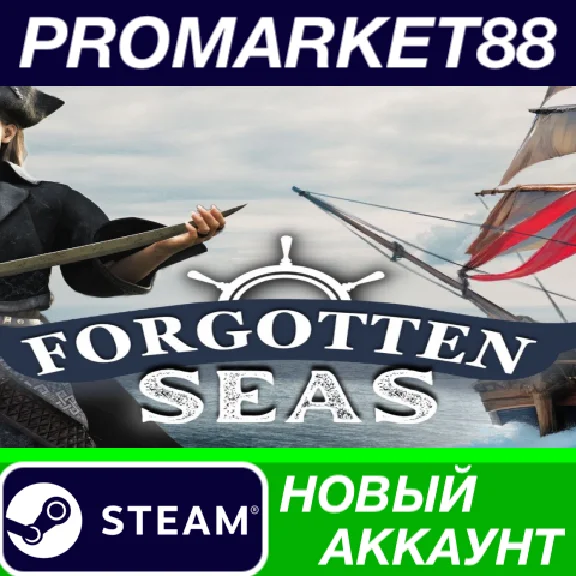 ✅ Forgotten Seas PC Steam Account NEW +MAIL🟢